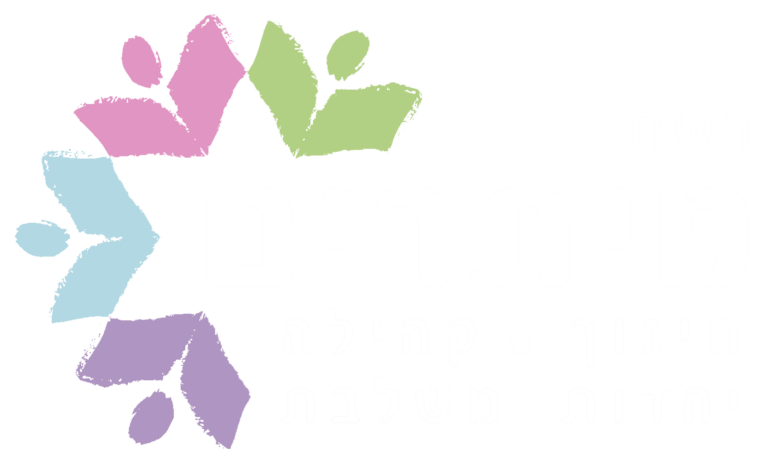 רשת מיתרים